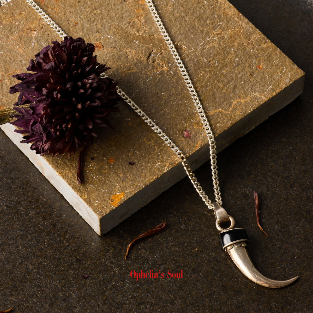 COLLAR JACK
