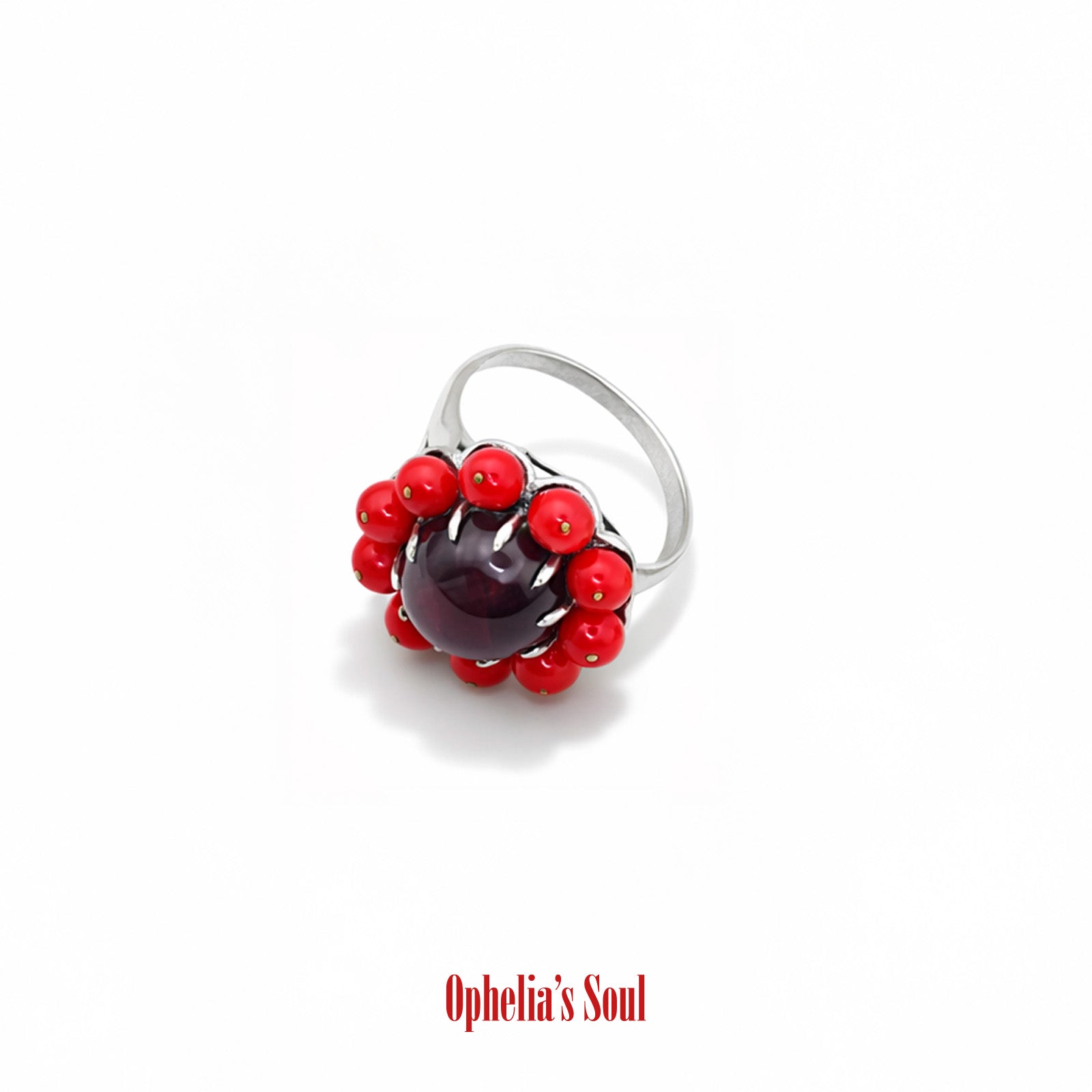 ANILLO 1