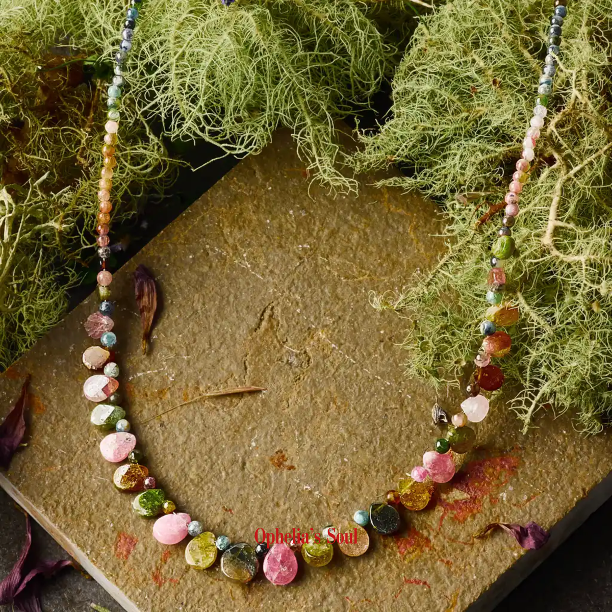 COLLAR RAINBOW
